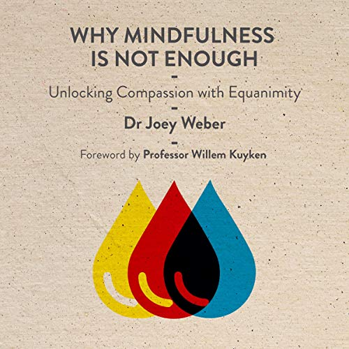 WHY MINDFULNESS IS NOT ENOUGH